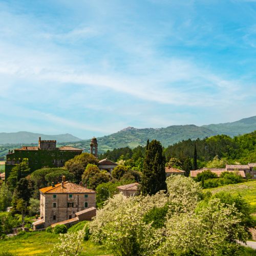Authentic Italian Experiences | Trip to Tuscany Now Booking