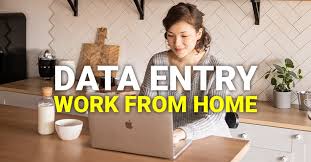 US Form Filling Project - Bulk &amp; Single-System Data Entry   770244092